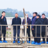 市生环委办来茶开展环保“未督先查、未督先改”专项督查工作