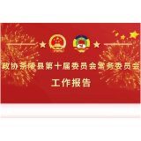 图解 |  政协茶陵县第十届委员会常务委员会工作报告