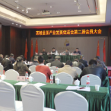 茶陵县茶产业发展促进会第二届会员大会召开