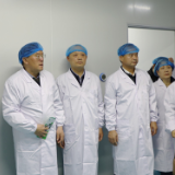 湖南省中药材产业方面专家一行来茶调研