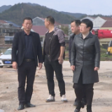 李甜甜带队督导环保工作 