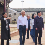 何建红来茶调研
