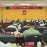 茶陵县第十八届人大常委会第二十二次会议召开