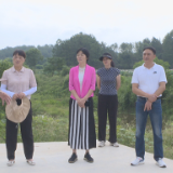 县人大开展民生可感行动项目专项督查