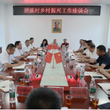 杨红兵到严塘镇玳溪村调研乡村振兴工作