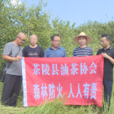 县油茶协会：巡山护林送技术 筑牢产业“安全墙”