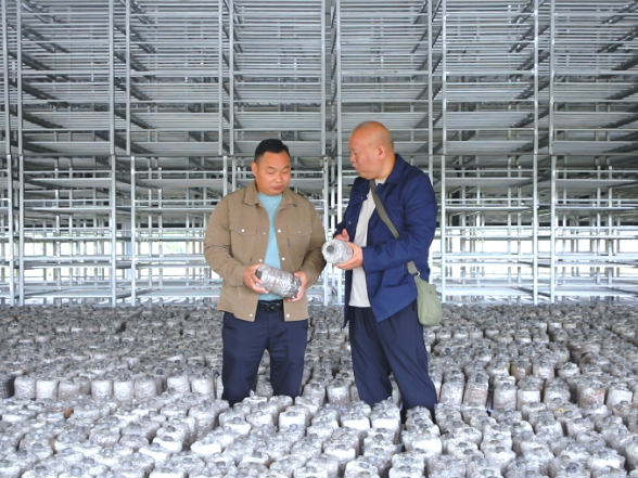 【画卷•乡村振兴】思聪街道三华村：工作队接力深耕绘就乡村振兴“蝶变”