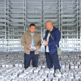 【画卷•乡村振兴】思聪街道三华村:工作队接力深耕绘就乡村振兴“蝶变”