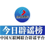 充“劣质电”致车辆自燃?造谣者被抓获——今日辟谣(2025年11月6日)