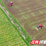 芙蓉国评论丨抓好“三农”不放松，推动高质量发展行稳致远