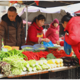 茶陵：春菜“抢鲜”上市 市民餐桌“春意盎然”