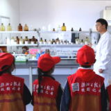 茶陵：将课堂“搬”进水厂 揭秘一滴水的“奇妙漂流”