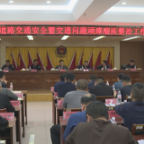 茶陵县安排部署道路交通安全暨交通问题顽瘴痼疾整治工作