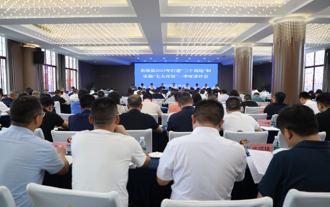 茶陵县2025年打造“三个高地”和实施“七大攻坚”一季度讲评会议召开