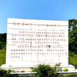 茶陵：检察听证凝聚合力，开启湖里湿地保护新征程