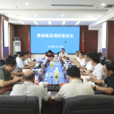 杨红兵调研犀城集团发展情况 强调：深化改革创新 彰显集团担当