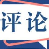 好评中国丨守护候鸟迁徙路，共绘生态和谐卷