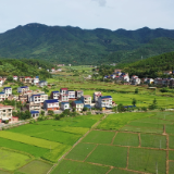 【画卷•乡村振兴】曹柏村：产业旺生态美 绘就乡村振兴新画卷