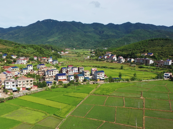 【画卷•乡村振兴】曹柏村：产业旺生态美 绘就乡村振兴新画卷