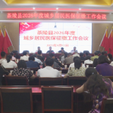 茶陵县调度2026年度城乡居民医保征缴工作