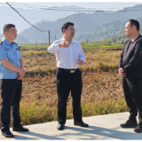 杨红兵督导秸秆禁烧管控和综合利用工作 强调:坚持疏堵并举 抓好资源化利用