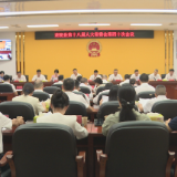 茶陵县第十八届人民代表大会常务委员会第四十次会议召开