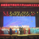 茶陵县老干部老年大学举办“情暖金秋重阳 共谱银龄华章”文艺汇演