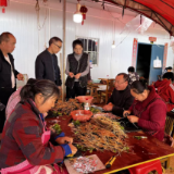茶陵县林业局：技术赋能 为油茶产业提供种苗保障