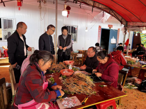 茶陵县林业局：技术赋能 为油茶产业提供种苗保障