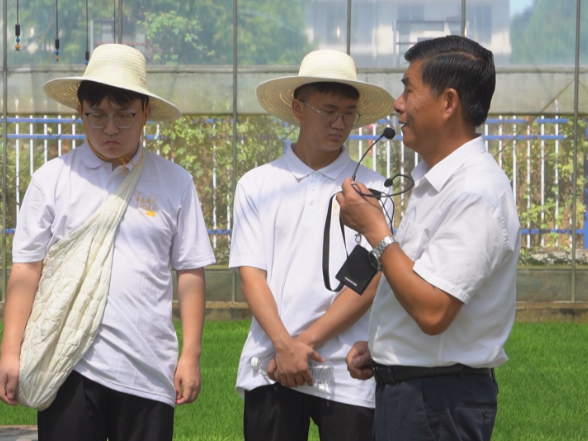 汇聚青春力量 助力家乡发展 茶陵第五届返乡挂职活动启动