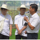 汇聚青春力量 助力家乡发展 茶陵第五届返乡挂职活动启动