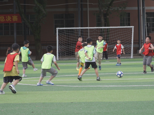 茶陵县云阳小学三年级足球决赛圆满举行