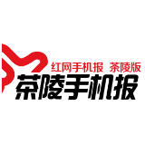 8月19日茶陵手机报