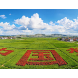 视频 | 2026全民国防教育月——案例片