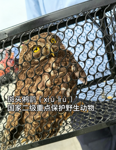 c95e8abc-660e-4e82-97e9-eb97758e43f9.png c95e8abc-660e-4e82-97e9-eb97758e43f9.png