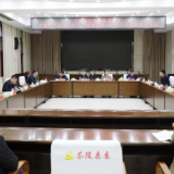 中共茶陵县委常委班子召开“提升‘政治三力’,迎接党的二十大”专题民主生活会