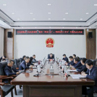 茶陵县政府党组召开“提升‘政治三力’，迎接党的二十大”  专题民主生活会