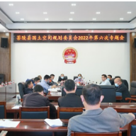 茶陵县国土空间规划委员会2022年第六次专题会议召开
