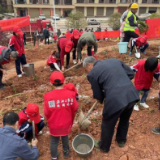 【文明实践在茶陵】城管局联合株洲日报社举办春季植树活动