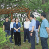 陈艳娟率队来茶调研乡村振兴工作