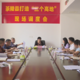 茶陵县打造“三个高地”指挥部品牌推广组召开工作调度会