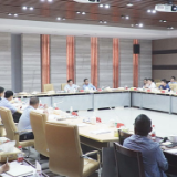 茶陵县国土空间规划委员会2022年第二次专题会议召开