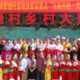 茶陵县枣市镇开展易地扶贫搬迁集中安置点主题活动