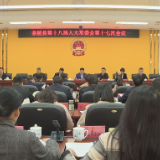 茶陵县第十八届人大常委会第十七次会议召开