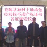 茶陵县颁发首本土地承包经营权不动产权证书