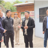 茶陵县政协委员视察文旅融合工作