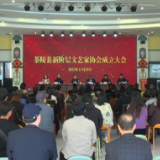 茶陵县新阶层文艺家协会成立