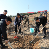 茶陵:植树添新绿 共建美丽家园