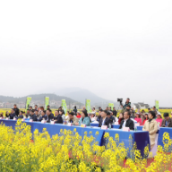 2023湖南油菜花节茶陵分会场暨茶陵县第九届油菜花节开幕