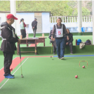 茶陵县“汉背杯”门球赛火热进行中